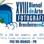 bienal2013